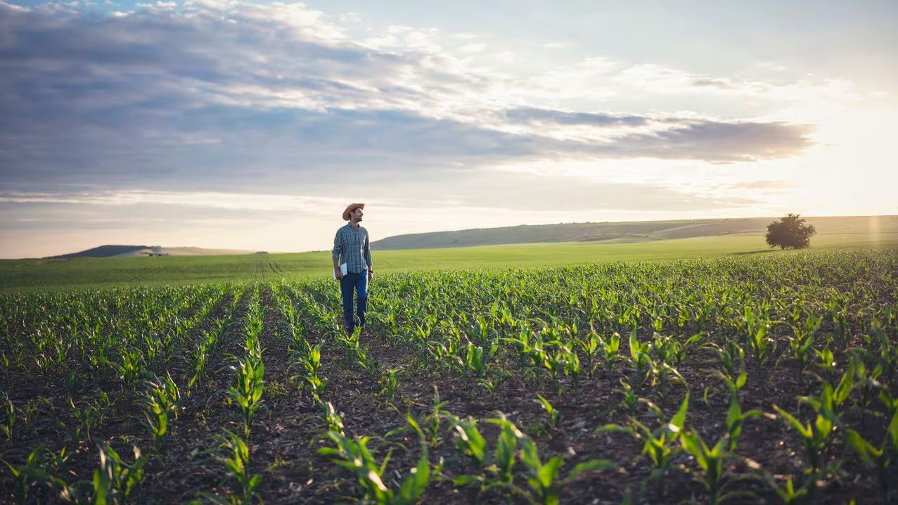 Producción de video institucional JAC