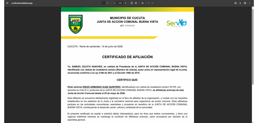 Exportación del Padrón — ASOCOMUNAL APP